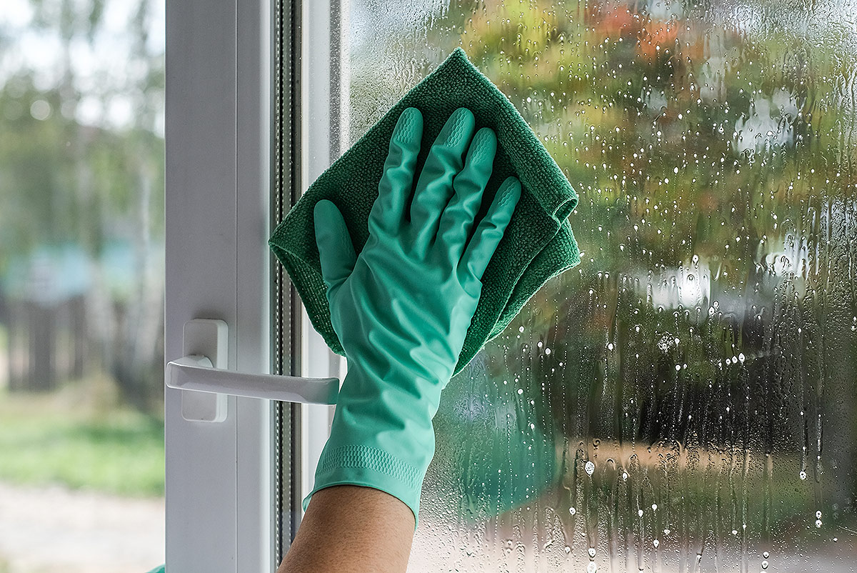 A woman's hand cleaning a window which has been sprayed with window cleaner